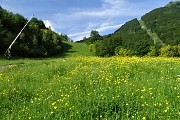 16 Verde e giallo salendo la valletta per i Piani di Bobbio...